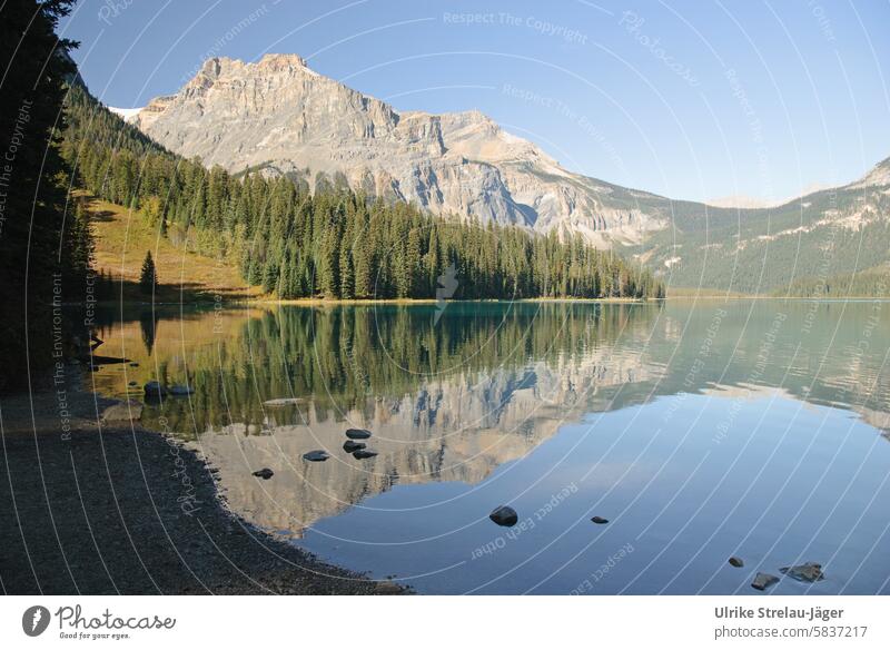 Canada | Emerald Lake | Reflection in the evening mountain lake mountains Vacation & Travel Lakeside Mountain Landscape Relaxation naturally Rocky Mountains