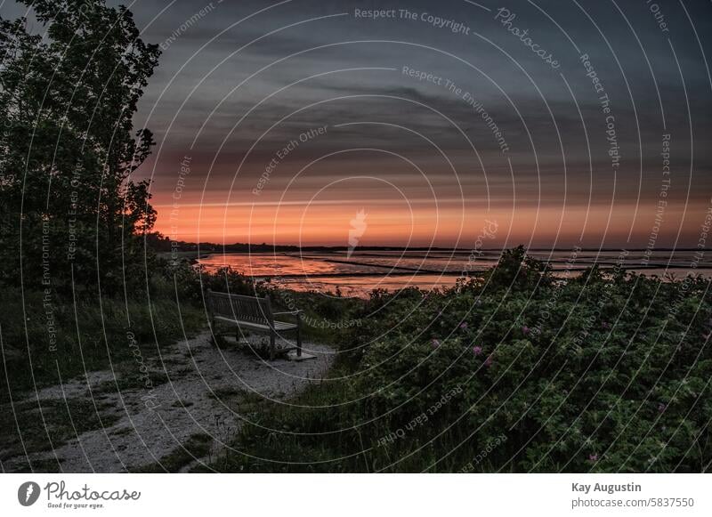 Blue hour blue hour Sunset evening hour North Sea outlook Lahnungen Play of colours Mud flats Spring 2024 Sky Slick skylights shore zone ebb and flow