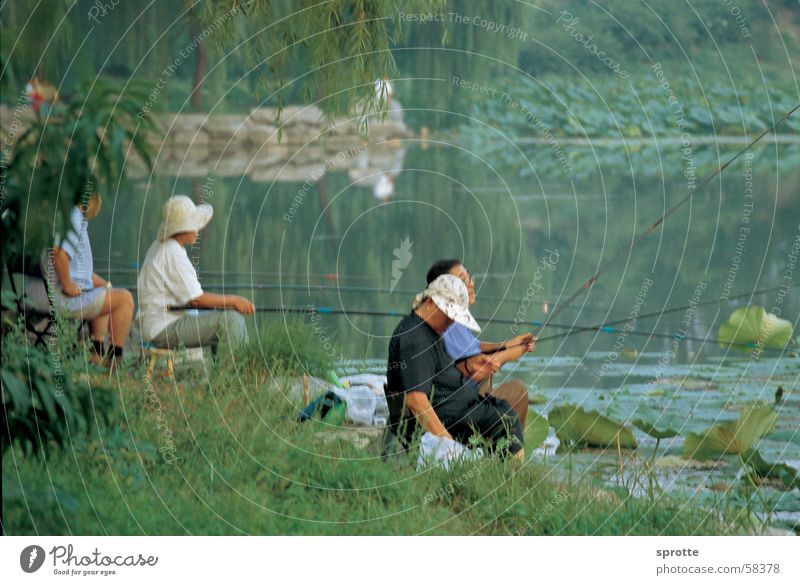 Chinese anglers in Beijing Summer Palace Angler China Summer palace Lake Calm Moody old summer palace