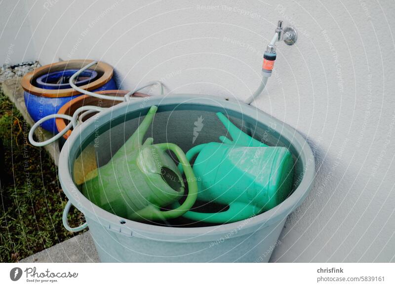 Watering cans lying in water trough Garden Cast Gardening Gardener Summer Green Spring Plant Nature do gardening Flower plants Environment Growth