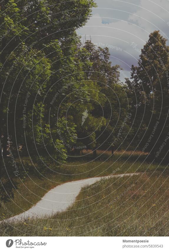 Path in nature off Nature Summer Nostalgia Memory Green trees grasses Grass To go for a walk Park Forest Landscape Tree Environment Outdoors naturally Spring