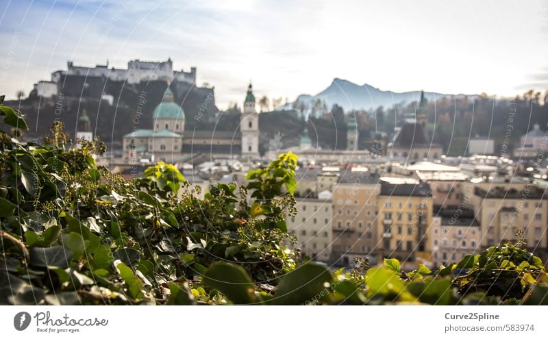 Salzburg Tourism City trip Mountain Town Capital city Old town Castle Friendliness Austria Light Warmth Building Colour photo Exterior shot Evening Blur