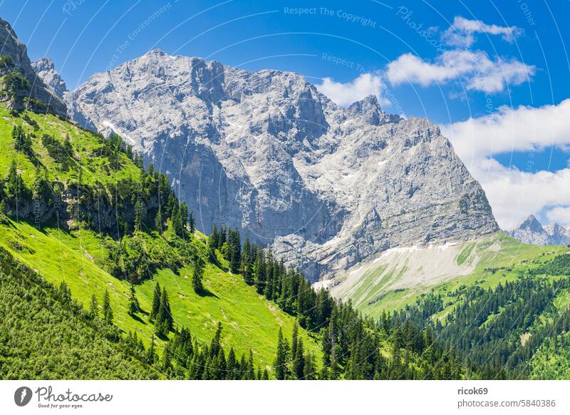 Landscape in the Rißtal valley near the Eng Alm in Austria Riss Valley Narrow Alps mountain Karwendel Tyrol Vantage point Narrow valley Nature Peak Summer Vomp