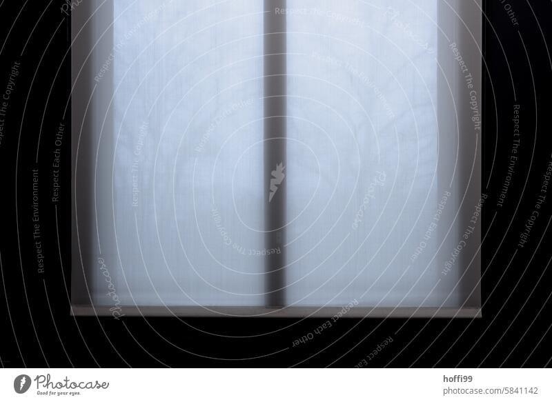 Diffuse view with little light through a window onto bare branches Diffuse background weak light Window Naked tree depression dejected dreariness Winter