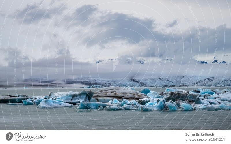 Ice floating in the Jäkulsarlon lagoon in front of the Vatnajökull glacier in Iceland Jökulsárlon Glacier Cold Frost Nature Iceberg Colour photo Landscape Blue