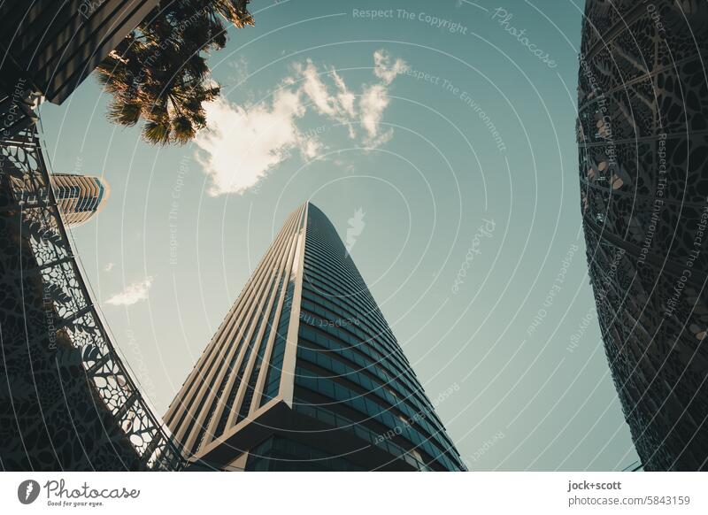 Flying high in Surfer's paradise High-rise Architecture Facade Surfers Paradise Australia Queensland Neutral Background Beautiful weather Sky Modern Gold Coast