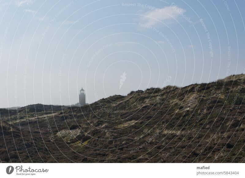 Red Cliff lighthouse on Sylt North Sea Island Mud flats National Park Sylt island morning mood Fog Sky Water country Gray Brown Blue Deserted Lighthouse dunes