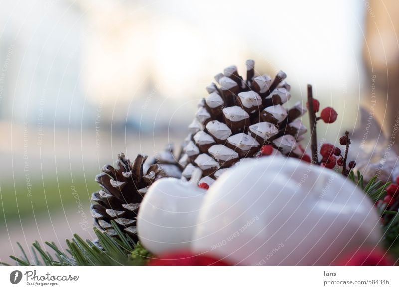 second Kitsch Odds and ends Creativity Fir branch Cone Apple Flower arrangement Decoration Colour photo Exterior shot Deserted Copy Space top Day