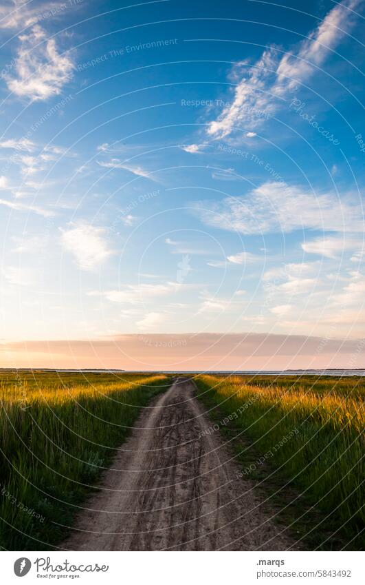 round the clock Lanes & trails Beautiful weather Sky Nature Summer Clouds Landscape Trip Field Target Environment Sunlight Green Plant Relaxation Moody