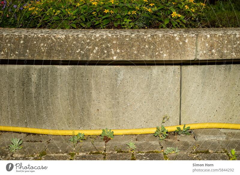 Garden hose at the edge of a paved area and below a seating area behind which there are bushes Irrigation Hose Cast Plant Water hose Paving stone lines