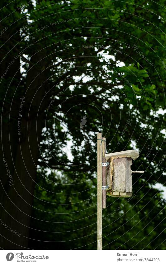 Bird house in front of a large tree bird house aviary nesting site Garden Tree birds Environment Foreground Animal garden birds Vicinity Ornithology