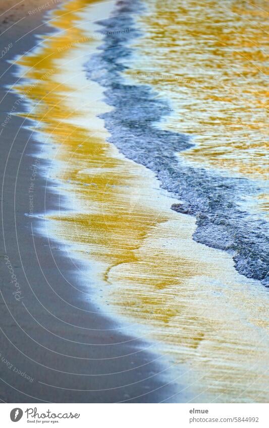 frayed I golden-blue shimmering water edge on the sandy beach Water hem Sandy beach bank Beach Ocean coast Vacation & Travel Mediterranean sea Tattered