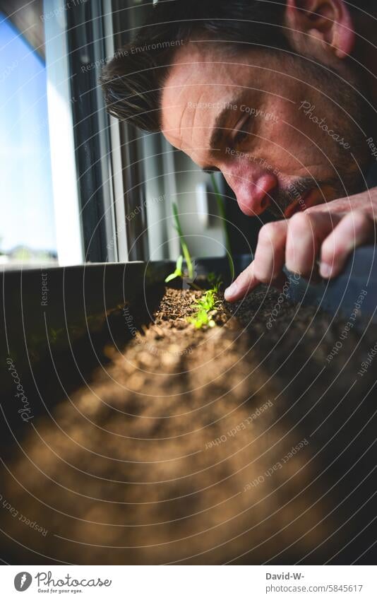 Self-supporter considers seedlings of his sowing self-catering Sowing Vegetable observed Organic produce gardening season Healthy Eating Green plants Garden