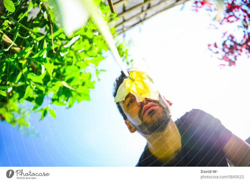 Man sniffing a flower Flower fragrant Fragrance Flower scent Summer Spring sunshine Tulip Garden Environment Blossoming Nature