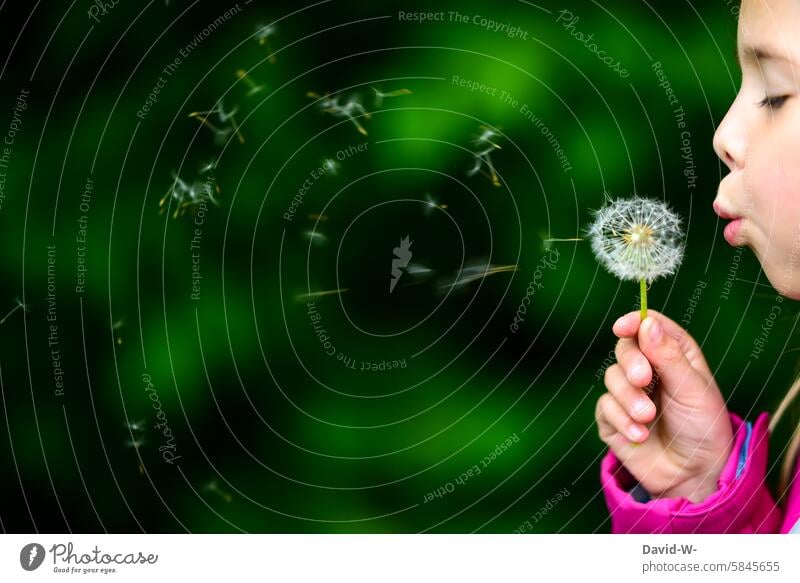 Girl with a dandelion Child Nature Experiencing nature Love of nature Environment Discover out Joy fun Sámen Flying blow Air Dandelion dandelion seed