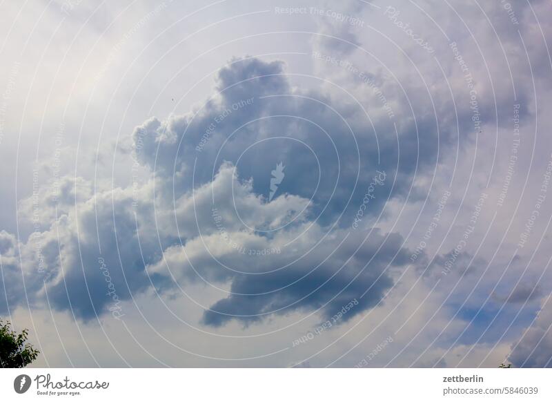 clouds Evening altocumulus Menacing Dark Twilight somber colour spectrum Closing time Worm's-eye view Thunder and lightning cumulus cloud Sky background Climate