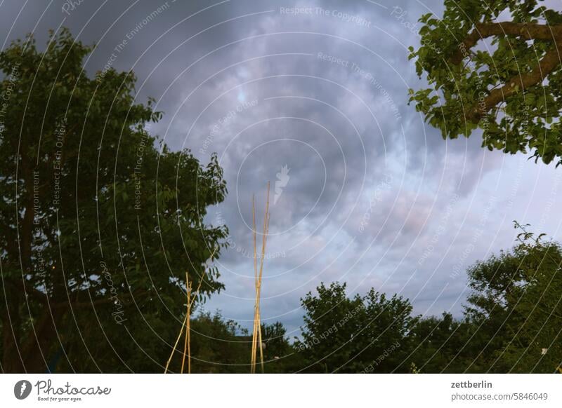 Clouds in the garden Evening altocumulus Menacing Dark Twilight somber colour spectrum Closing time Worm's-eye view Thunder and lightning cumulus cloud Sky