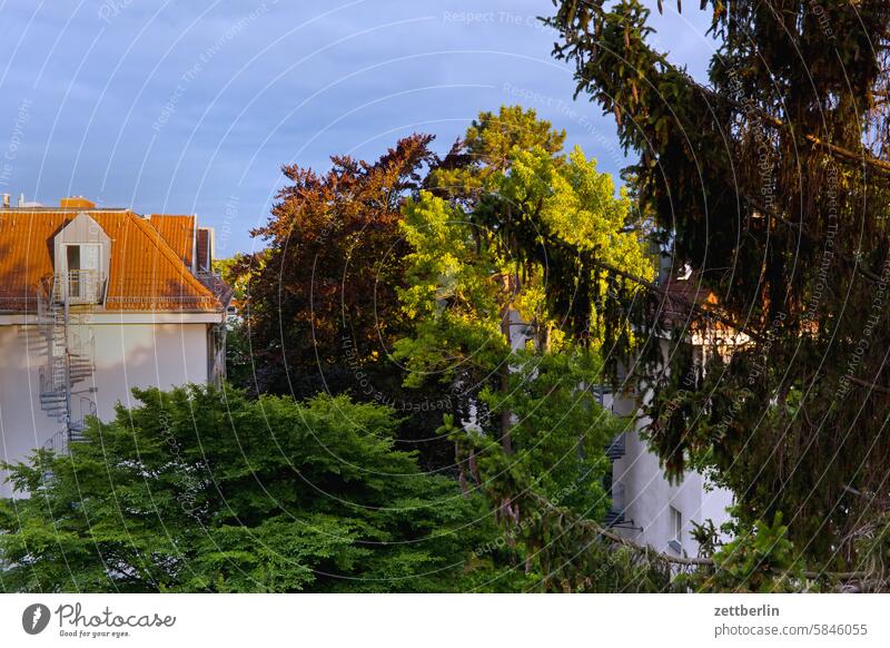 Evening light in a residential area Architecture Berlin Office chamissoplatz city Germany Facade Window Worm's-eye view Building Capital city