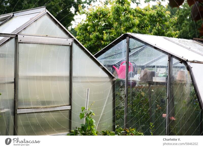 UT Leipzig - bright to cloudy I Laubenpieper - greenhouses Greenhouses Allotments Laupen pipit Garden allotments Watering can Pink watering can Garden plot