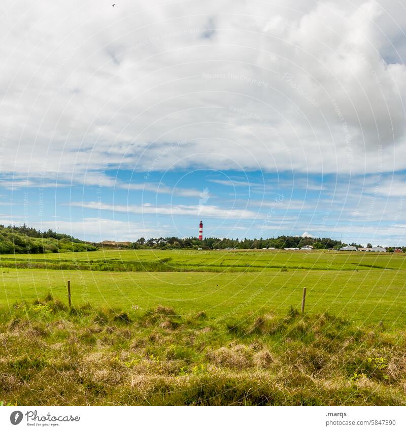 North Frisian Lighthouse Sky Meadow Nature Vacation & Travel Horizon Landscape Tourist Attraction Summer vacation Beautiful weather North Sea Clouds