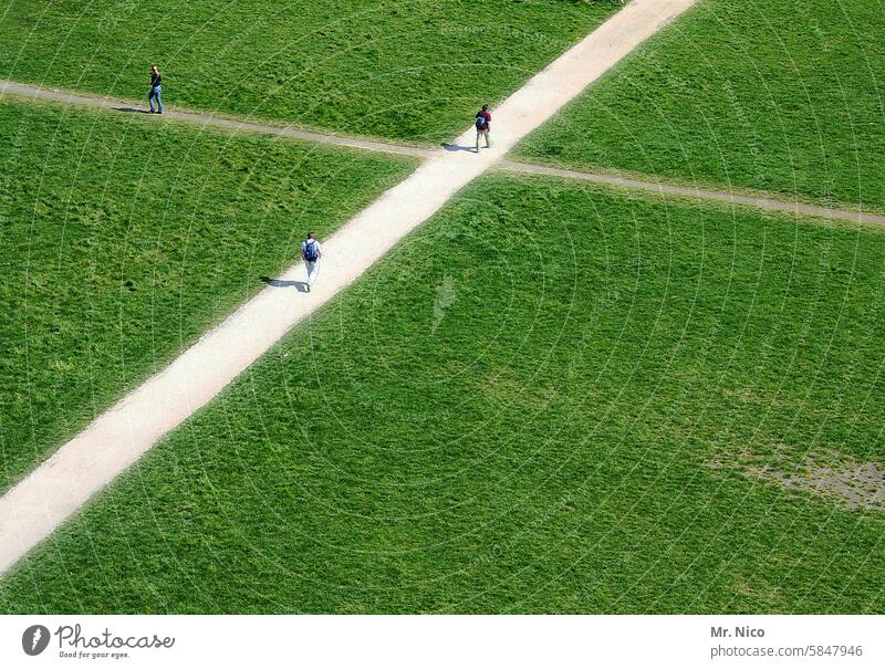 Crossroads Lanes & trails cross Meadow Lawn Pedestrian Green Grass Park To go for a walk Footpath Landscape Trail Bird's-eye view on foot Right ahead