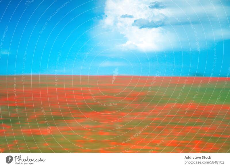 Abstract view of a blurry red poppy field under blue sky abstract cloud dreamlike vibrant smear effect painted scenery nature art landscape colorful impression