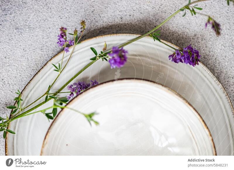 Minimalist summer table setting with wildflowers minimalist alfalfa nature vintage plate decoration concrete texture simplicity floral design top view