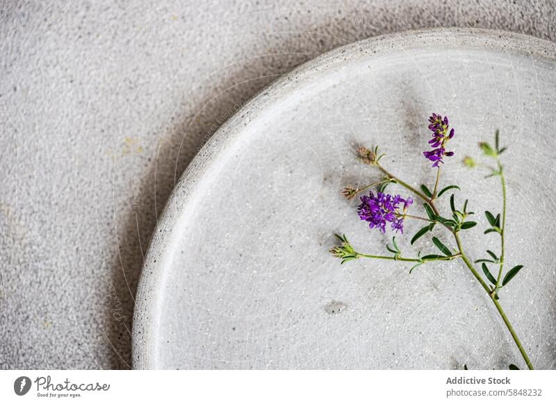 Minimalist summer table setting with wildflowers minimalist ceramic plate purple delicate sprig simple natural vibe top view overhead elegance decor tableware