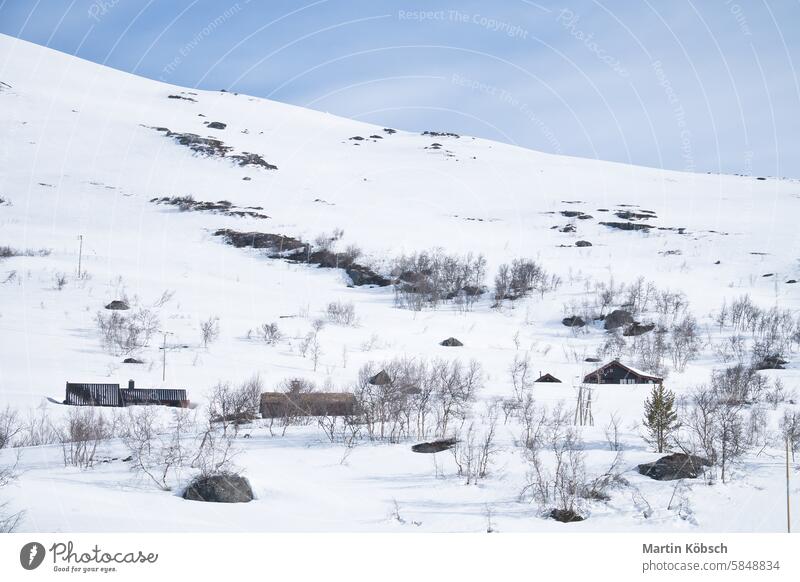 Norwegian high mountains in the snow. Mountains covered with snow. Scandinavia winter winter landscape ice cold tree frost white magic road light lantern motif