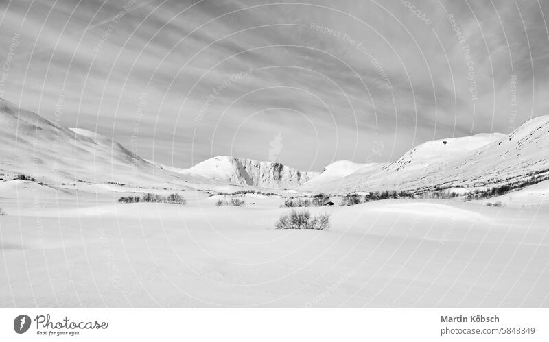 Norwegian high mountains in the snow. Mountains covered with snow. Scandinavia winter winter landscape ice cold tree frost white magic road light lantern motif