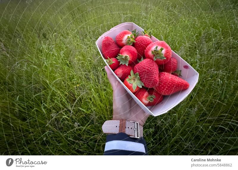 Fresh strawberries from the farm Strawberry Fruit Red cute Food Delicious Healthy Summer Vitamin Juicy Berries Mature Tasty naturally Dessert Close-up Diet