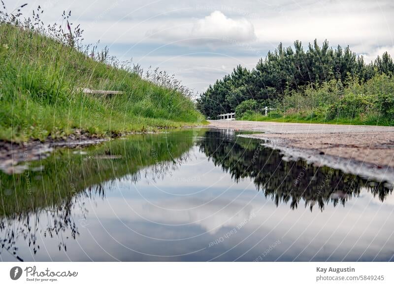 Puddle reflection Landscapes Rain puddle mirroring Reflection Wet Water Weather Exterior shot Street Colour photo Rainy weather Damp Bad weather Asphalt trees