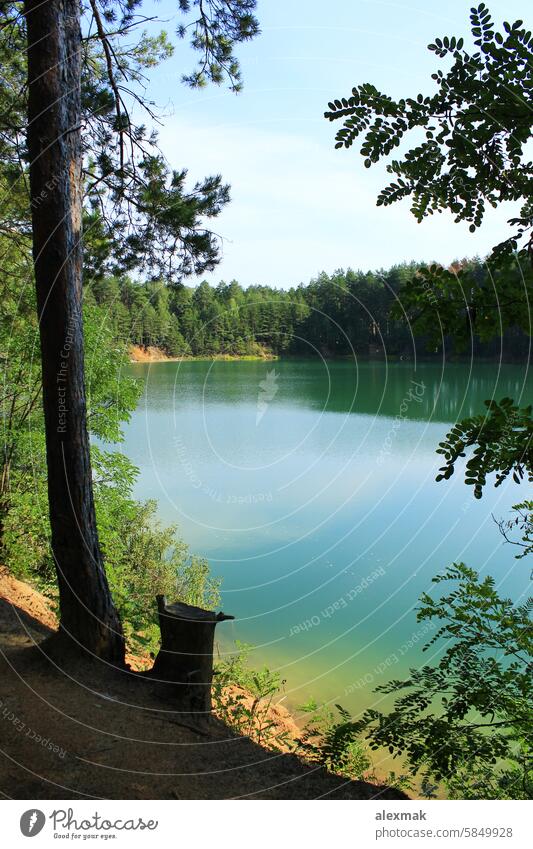 Forest lake with emerald green water. Beautiful waterscape Lake lake landscape Nature travel Water River Landscape Wood Summer Green Tree blunt loosen up view