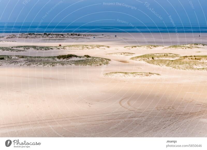 Wide beach Vantage point Marram grass wide Sand Schleswig-Holstein dunes Summer Tourism Vacation & Travel Amrum Sky Ocean North Sea Landscape North Frisland