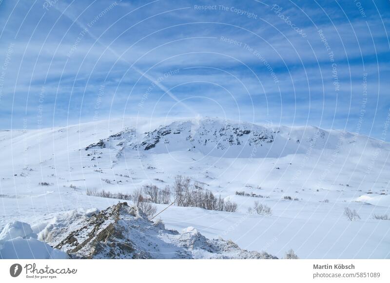 Norwegian high mountains in the snow. Mountains covered with snow. Scandinavia winter winter landscape ice cold tree frost white magic road light lantern motif