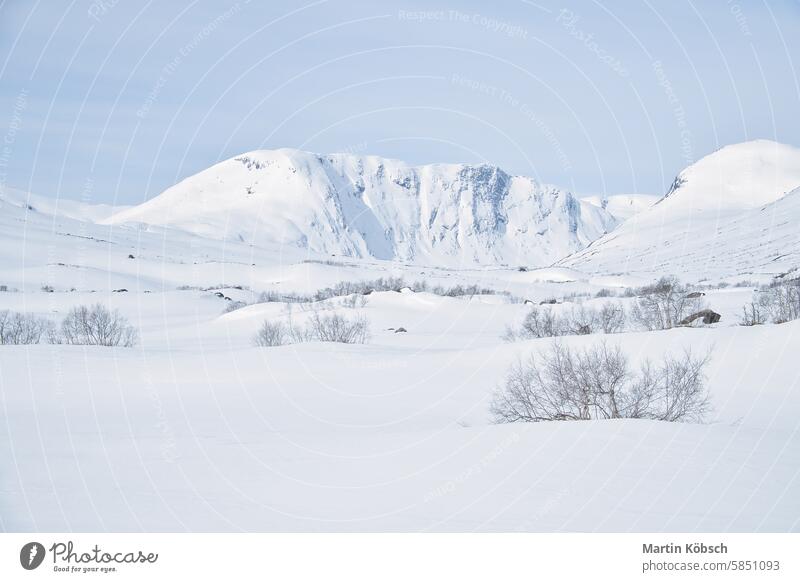 Norwegian high mountains in the snow. Mountains covered with snow. Scandinavia winter winter landscape ice cold tree frost white magic road light lantern motif