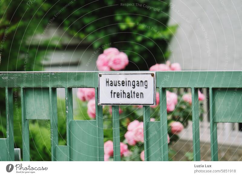 Keep the house entrance clear, with blooming roses Pink Main gate Goal nostalgically Metal Elegant Closed locked Stylish Old fashioned Detail Entrance Demanding