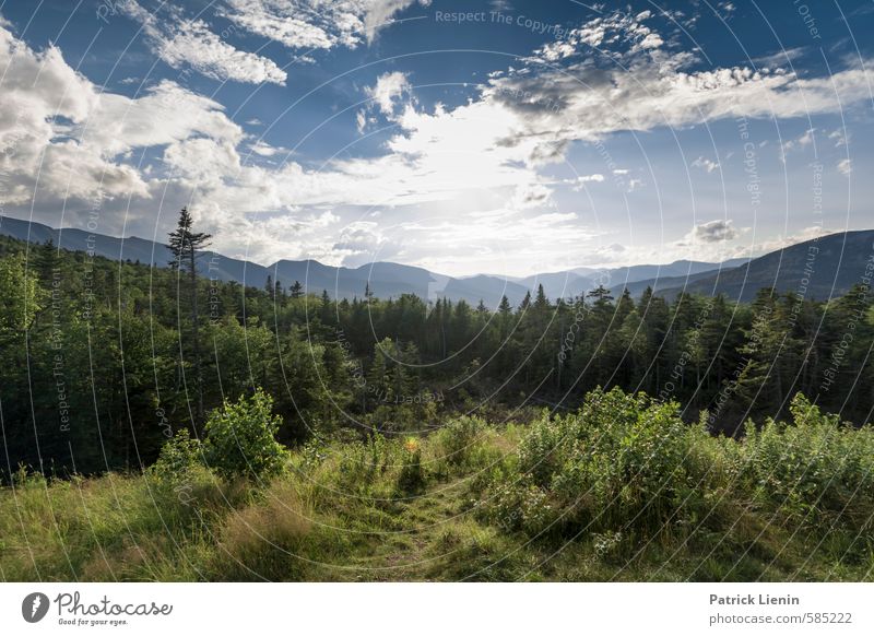 Much More Than That Vacation & Travel Trip Adventure Far-off places Freedom Mountain Hiking Environment Nature Landscape Plant Elements Earth Sky Clouds Sun