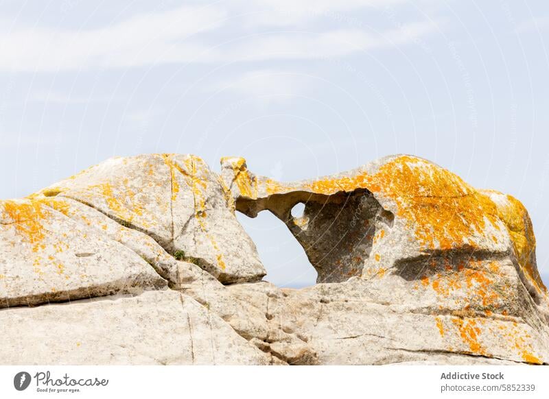 Coastal Rock Formation with Summer Colors rock formation coastal summer lichen texture sky clear serene nature scene close-up vibrant color yellow white outdoor