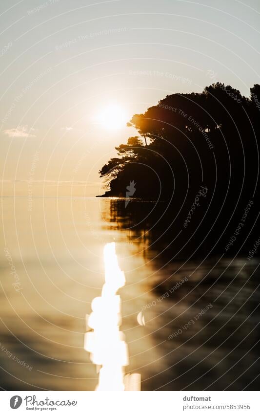 Sunlight reflected idyllically in the water, backlighting Water Lake Ocean Back-light Backlight shot Vacation & Travel Summer coast Sky Waves Beach Horizon