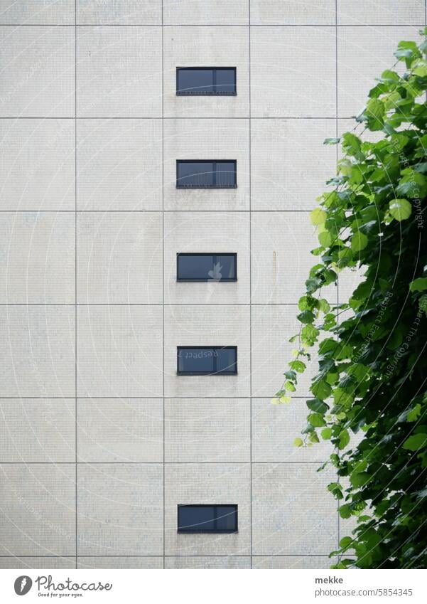 UT Leipzig - bright to cloudy | nature meets architecture House (Residential Structure) Facade Staircase (Hallway) Architecture Building Town Window Downtown