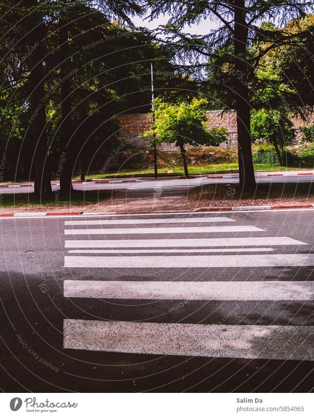 Ifrane's pedestrian crosswalk Morocco Street streets street photography Pedestrian Pedestrian crossing Pedestrian zone road roads Roadside Road marking roadway