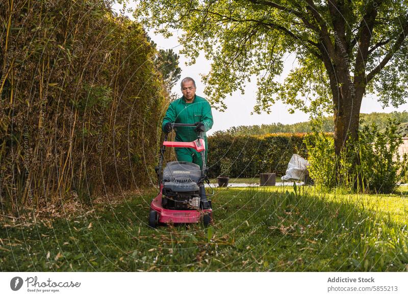 Man mowing lawn in a picturesque garden setting man mower grass green uniform mature outdoor nature scenic trees hedge work gardening landscaping maintenance