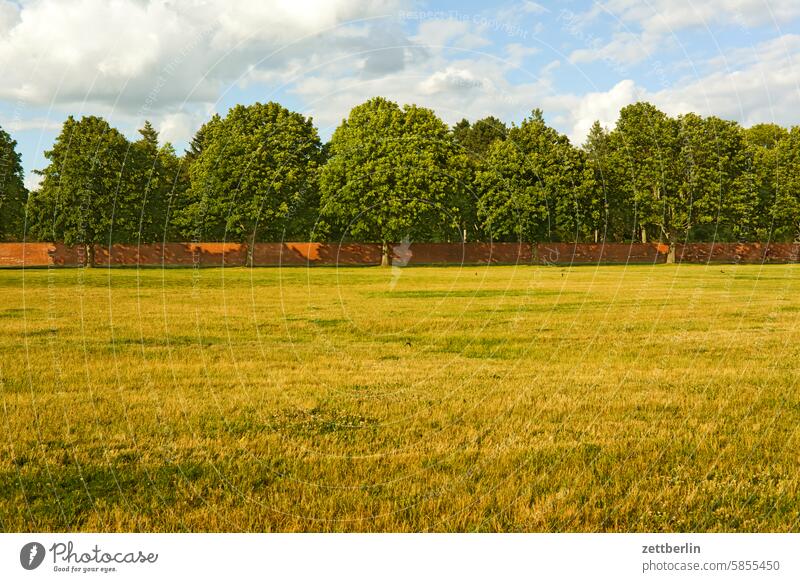 Tempelhof Field Berlin Far-off places Trajectory Airport Airfield Freedom Spring Sky Horizon Deserted taxiway Skyline Summer Mirror image tempelhofer field