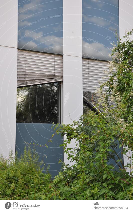 Up and down | City or leaning? | Office complex with damaged blinds. Building Window Roller shutter Facade Architecture House (Residential Structure) Closed