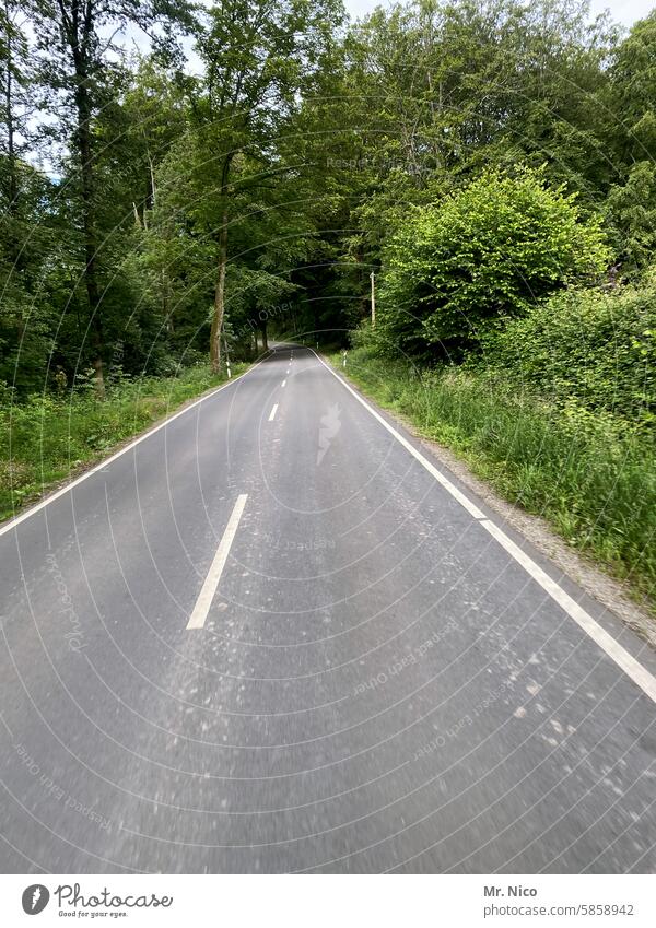 highway forest road Transport two lanes empty street Road traffic Road movie Landscape on the road Street Asphalt Out of town Motoring Traffic lane road trip