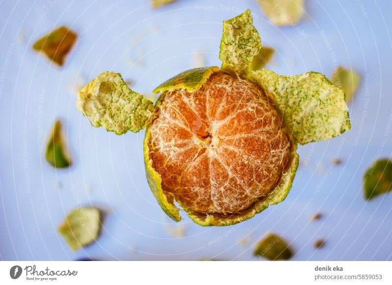 Flat lay of peeled orange. Peeled orange levitating overhead. levitation skin slice open section cut out produce refreshment juicy farming harvest single