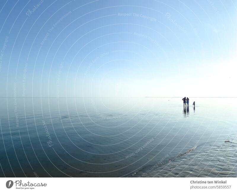 Summer at the North Sea people Horizon Ocean Water Beach Sky Reflection coast Vacation & Travel Fohr Schleswig-Holstein North Frisian Islands shine