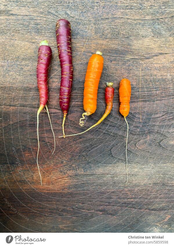 Colorful variety of carrots from the vegetable garden Vegetable Organic produce Vegetarian diet Healthy Eating Orange Red disparate Fresh Growth Nutrition Food