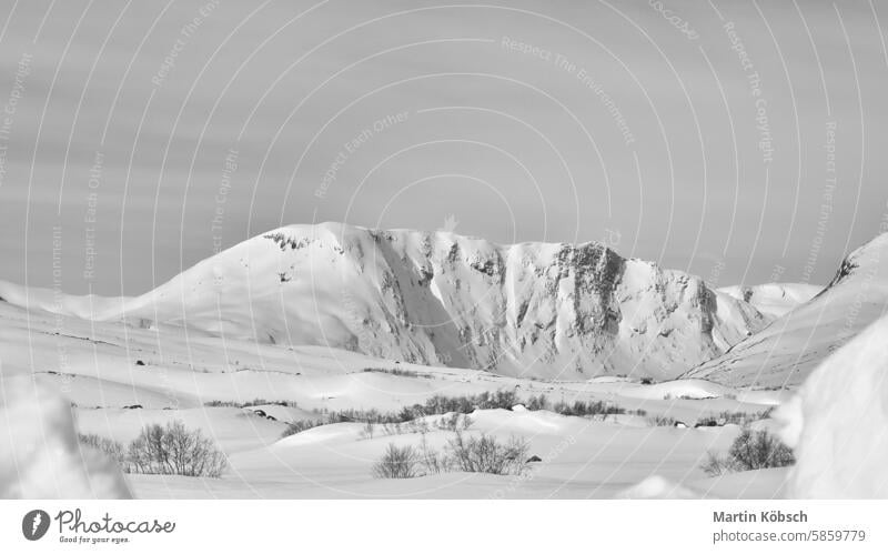 Norwegian high mountains in the snow. Mountains covered with snow. Scandinavia winter winter landscape ice cold tree frost white magic road light lantern motif